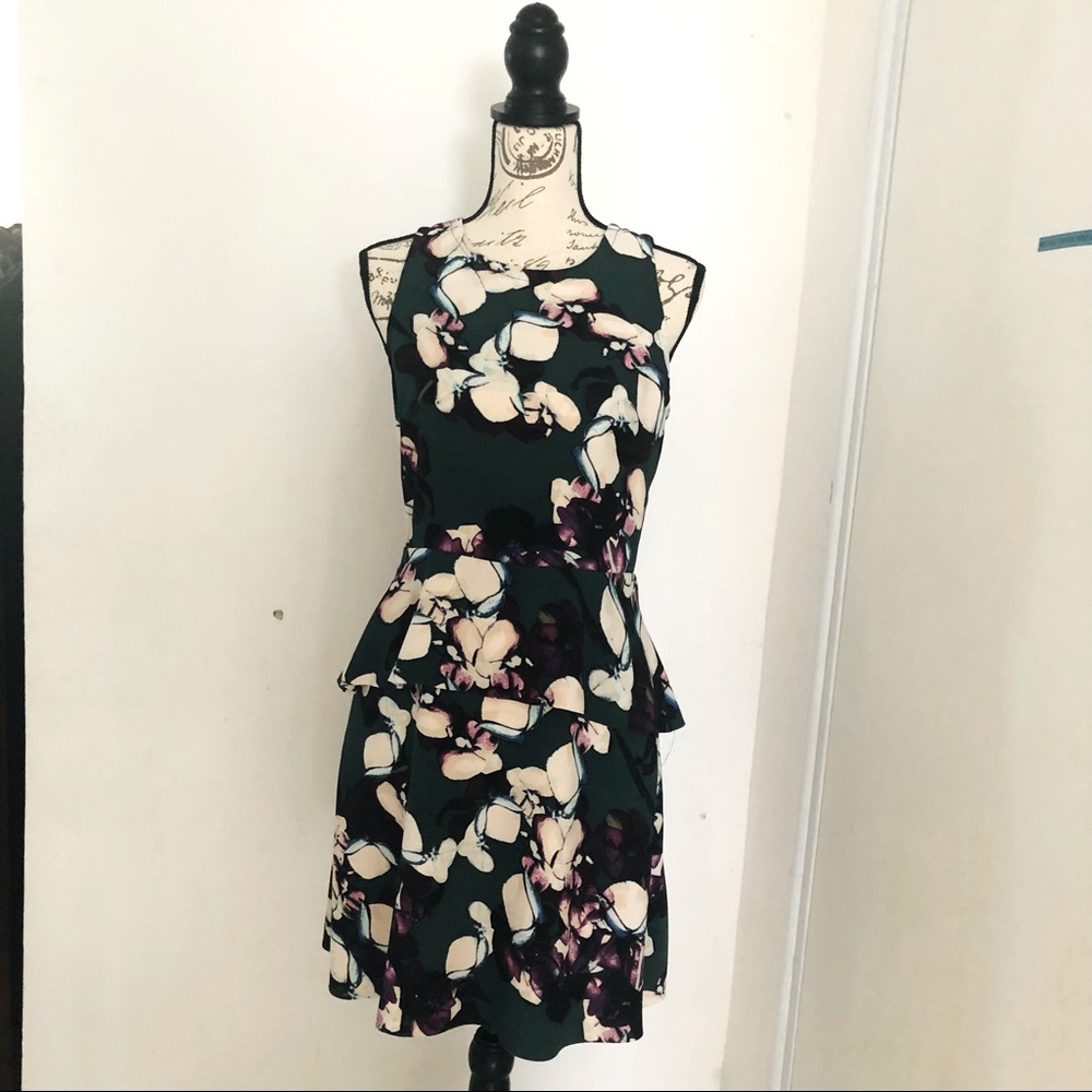 Beautiful Floral Banana Republic Dress (with pockets!!!) in excellent condition.